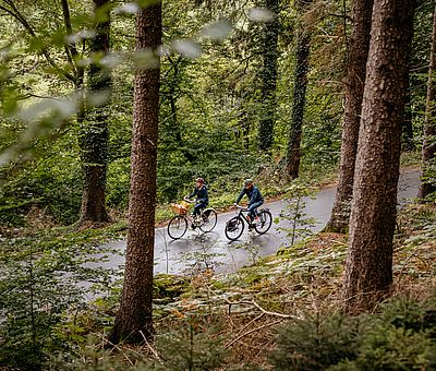 Zwei Radfahrer fahren auf einer Straße, die durch einen Wald führt 