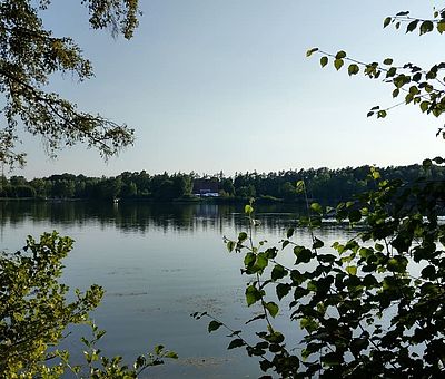 Tolle Natur in Greven mit schönem See und Gewässer