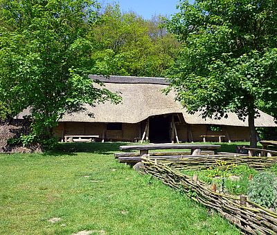 Der Sachsenhof in Greven inmitten der Natur